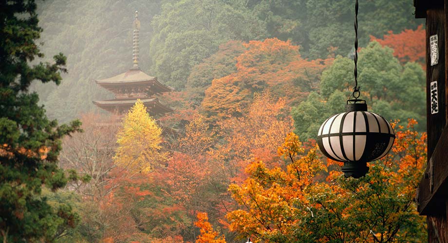 The Hase Temple During Autumn