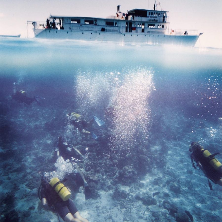 Australien, Queensland, Tauchen am Great Barrier Riff, Boot, Taucher Barrier Reef, Meer, Kueste, Wassersport, Schiff Encounter, Tauchen h_00613993.jpg