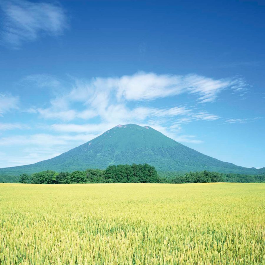 Niseko in summer