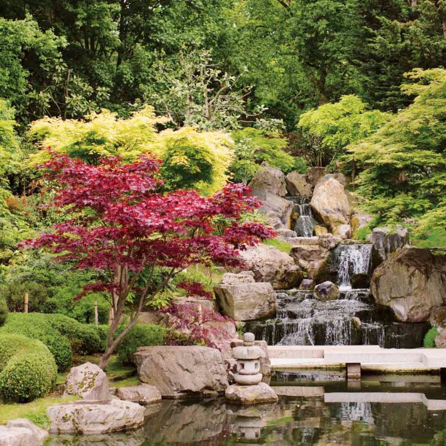 Kyoto Gardens, Holland Park