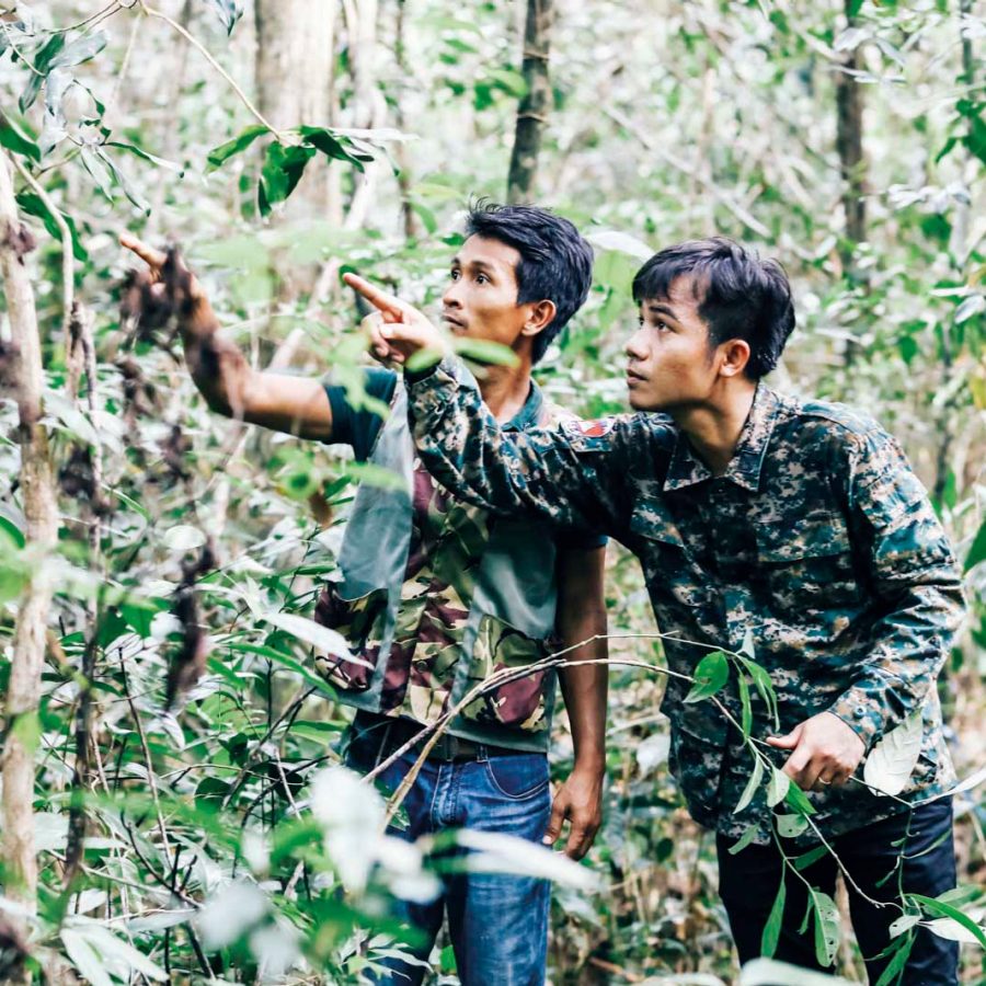 Two men in a jungle pointing at something in the distance