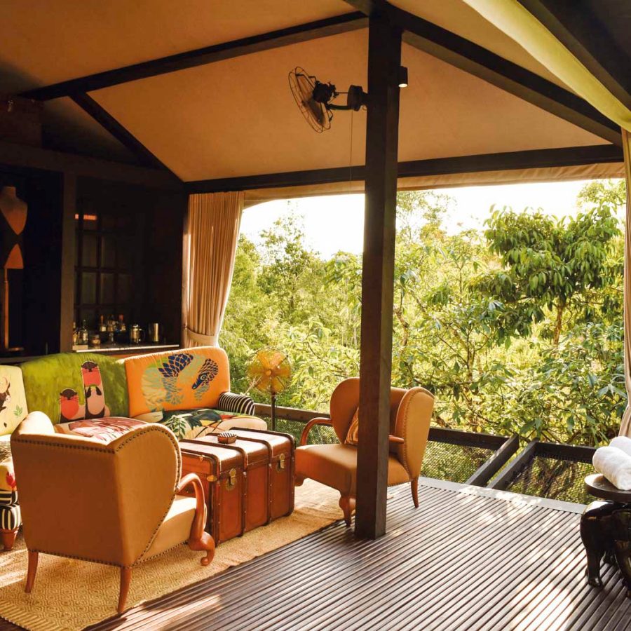 Open plan room looking out into the treetops