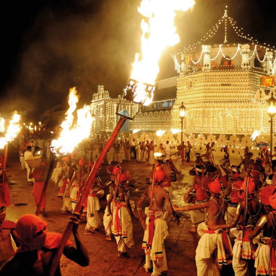 Men gathered around fire torches celebrating