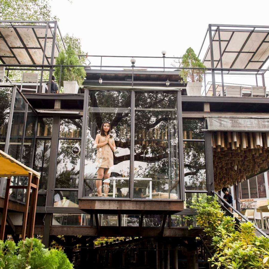 Bangkok Tree House