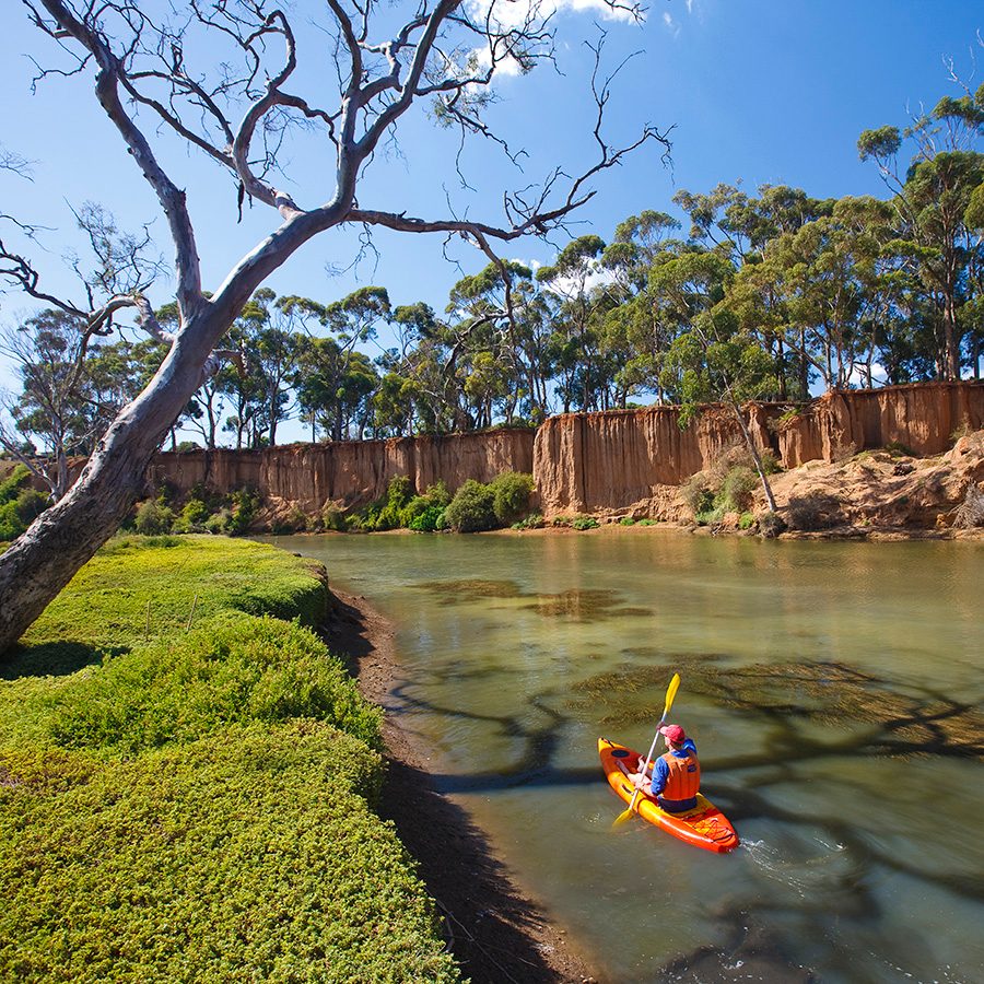 Warrandyte State Park 