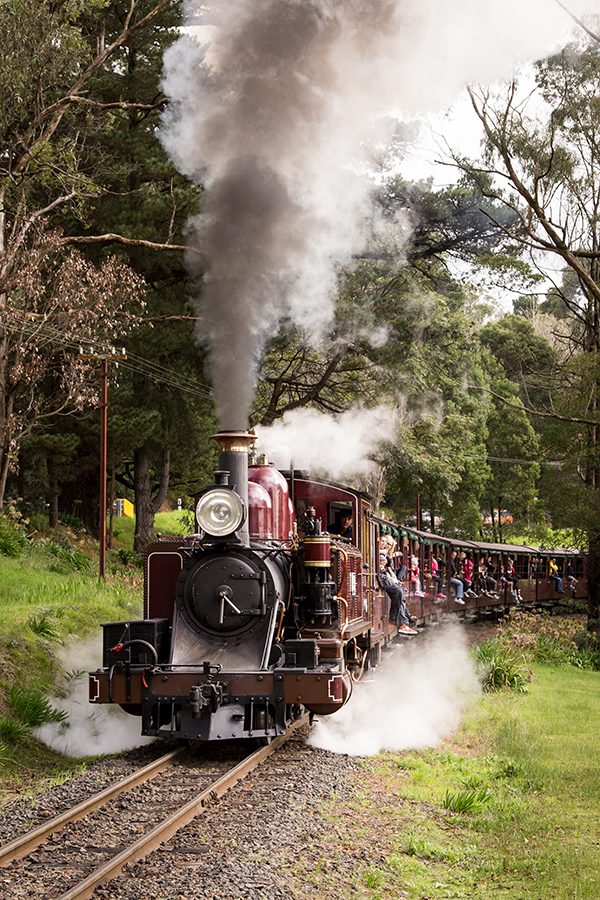 The Yarra Valley  steam train