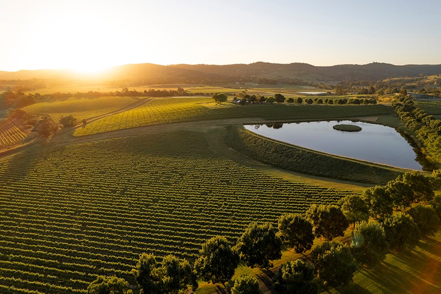 The Yarra Valley  from above