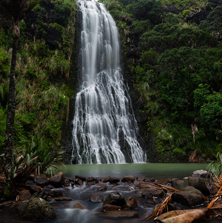 Waitakere Ranges