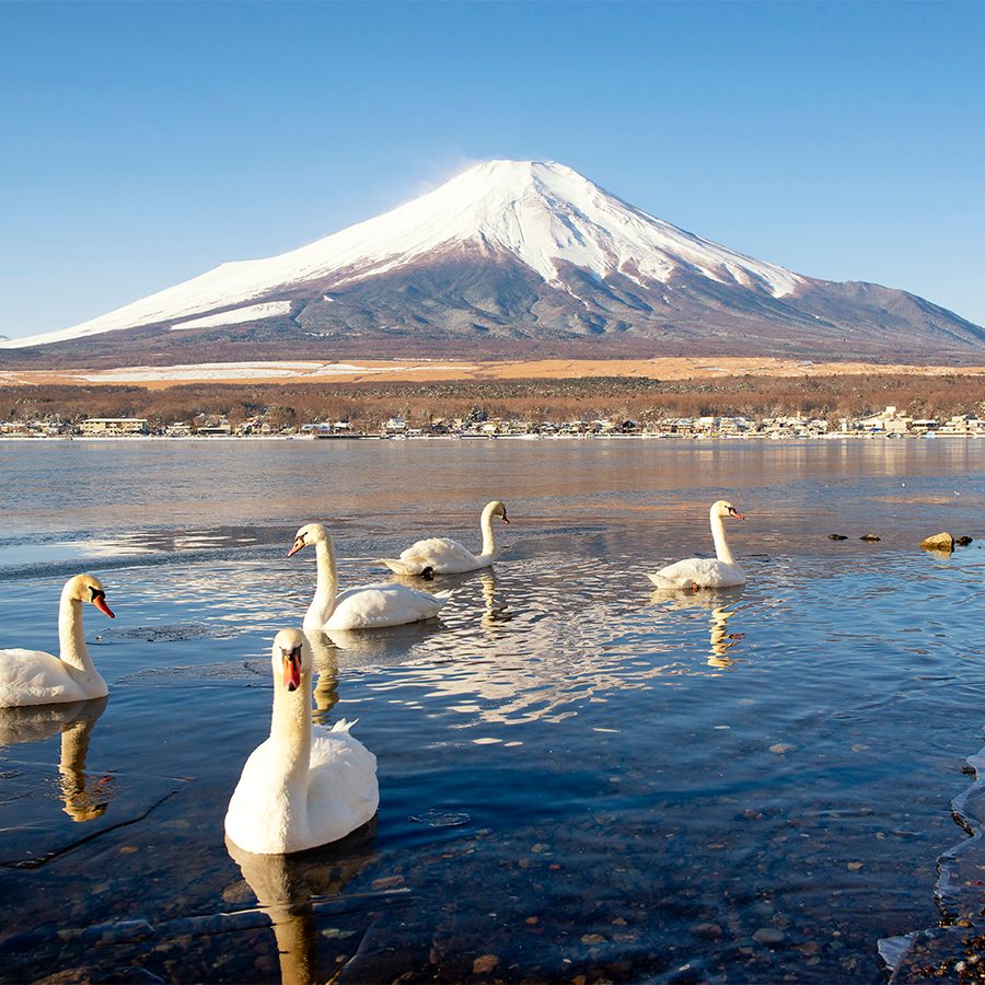 Is this the ultimate way to experience Mount Fuji? | Cathay