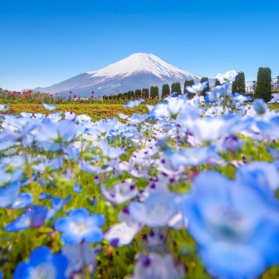 Is this the ultimate way to experience Mount Fuji? | Cathay