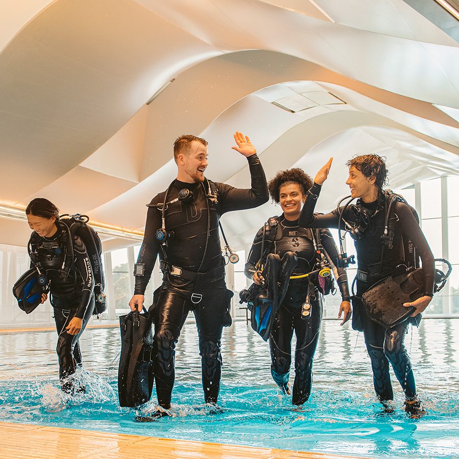 Deep dive Dubai. Courtesy image