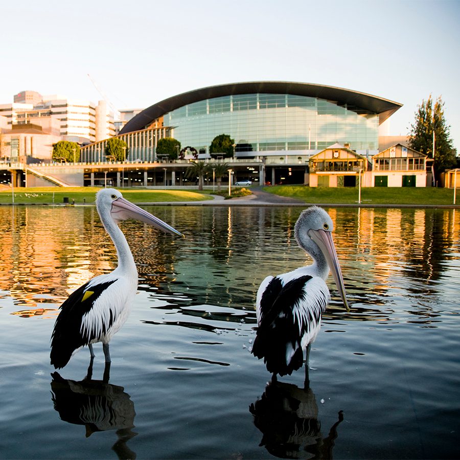 River Torrens