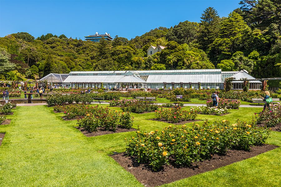 Wellington Botanical Gardens