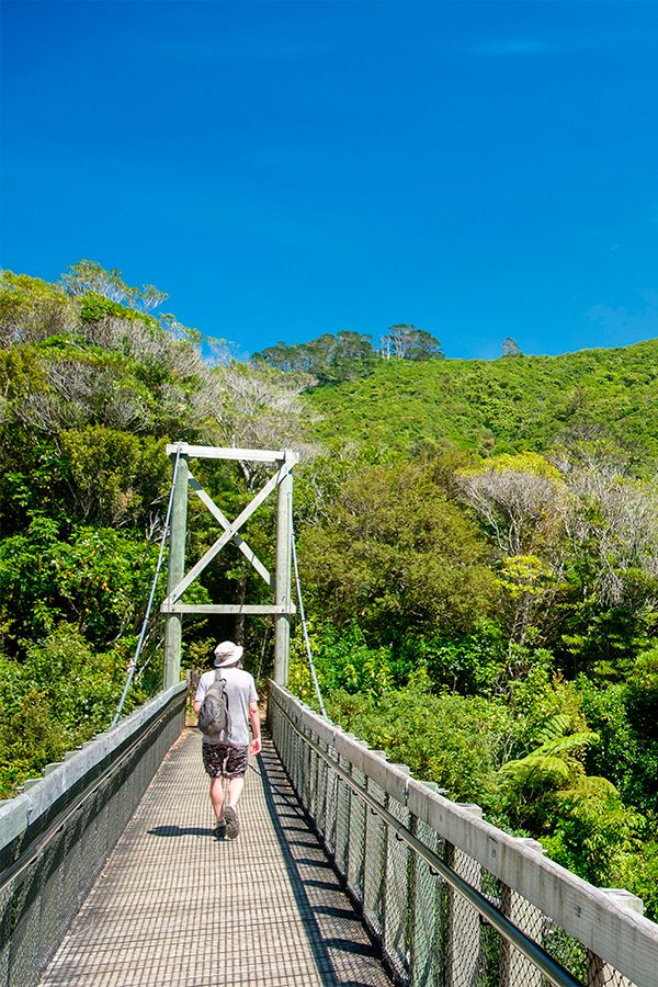 Zealandia