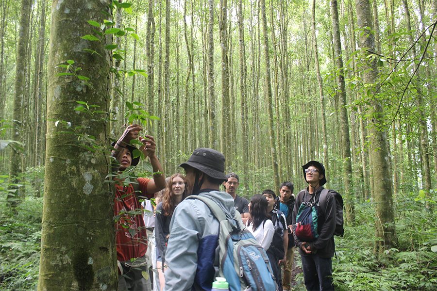 Sustainable tours at The Conrad Bali