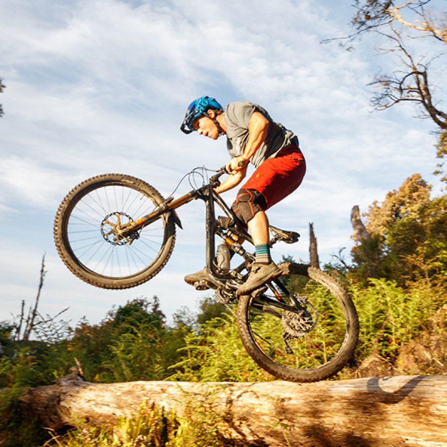 Nelson: Cable Bay Adventure Park Skywire and Mountain-biking 