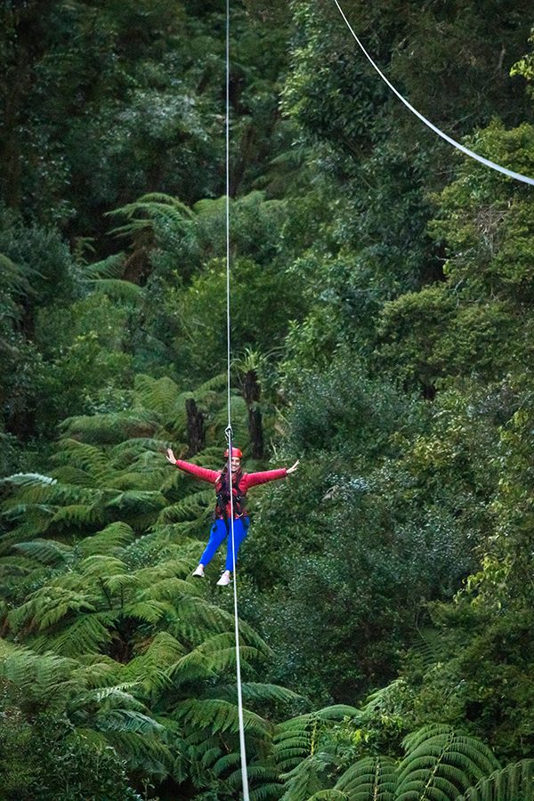 Rotorua: Rotorua Canopy Tours zipline