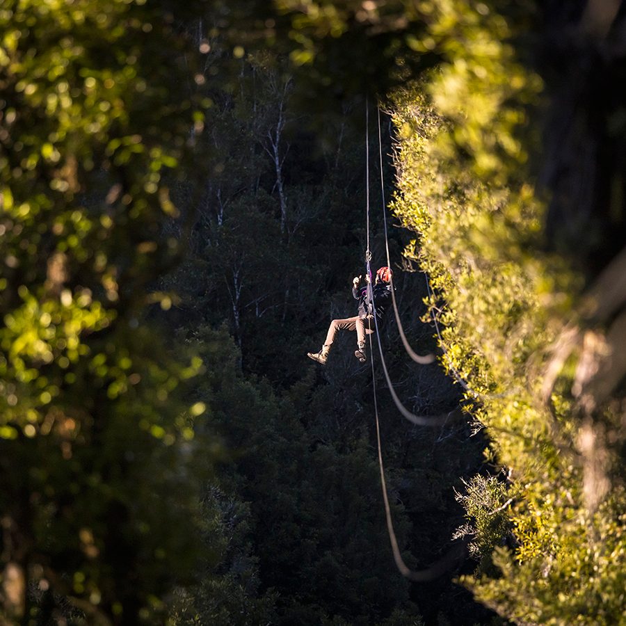 Rotorua: Rotorua Canopy Tours zip wire forest 