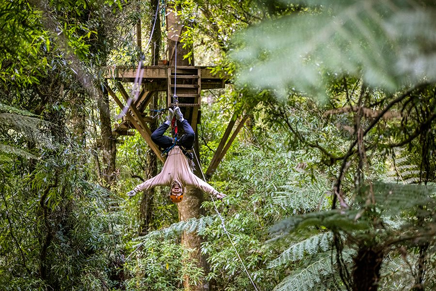 Rotorua: Rotorua Canopy Tours tree top platform