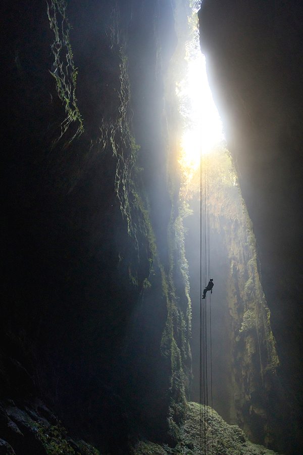 Rotorua: Rotorua Canopy Tours zipline