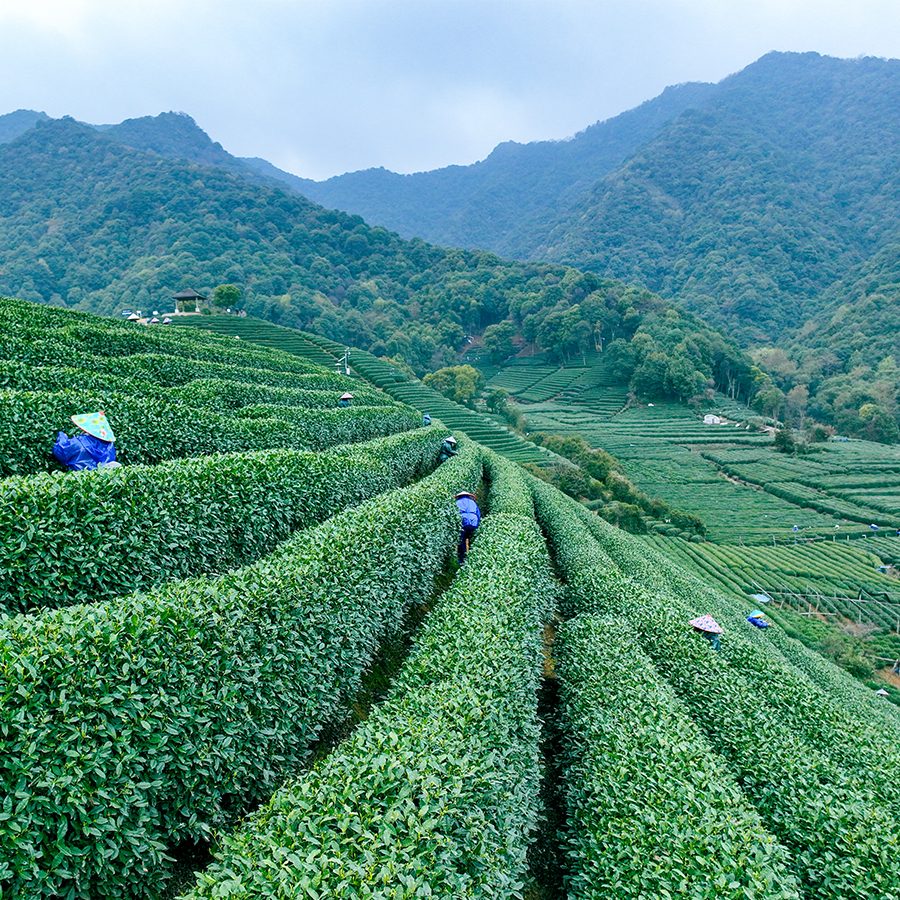 5 scenic cycle routes in Hangzhou, China | Cathay