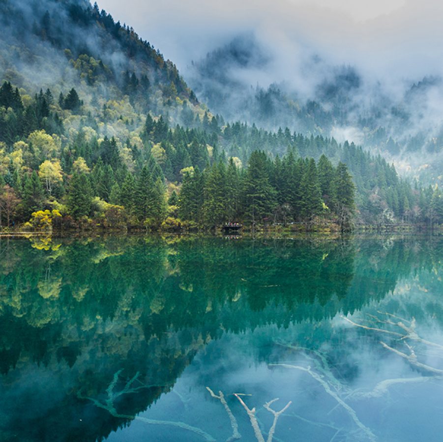 Jiuzhaigou: a breathtaking tapestry of blue and green | Cathay