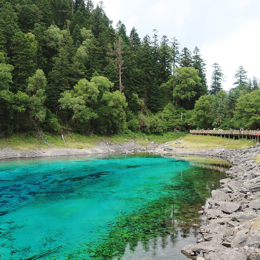 Five-Colour Pond