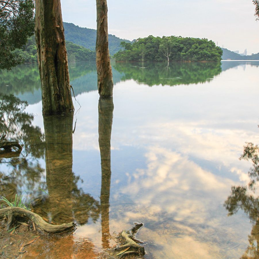 Shing Mun Reservoir