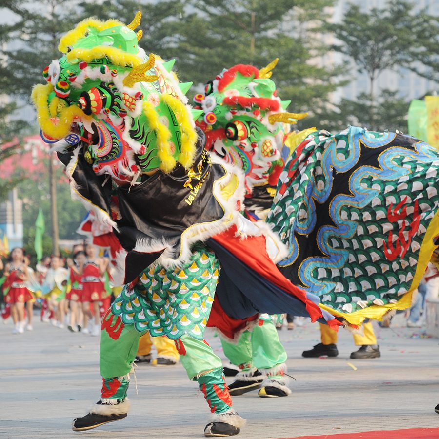 Lion dance donkeyru