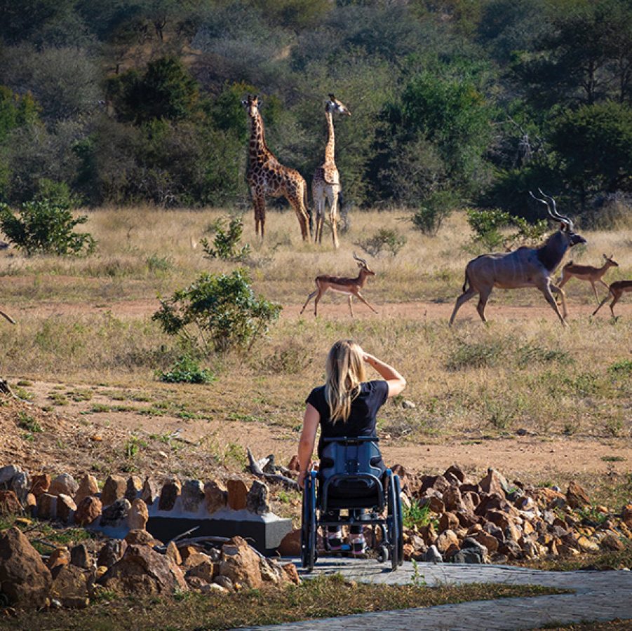 Wheelchair friendly safari