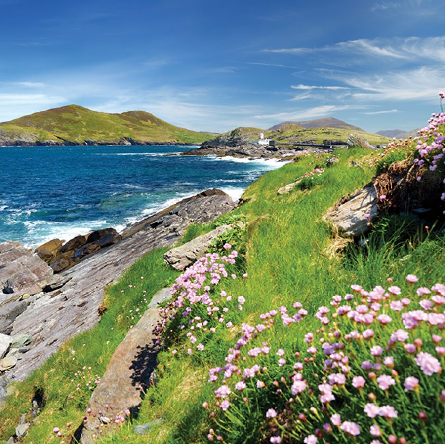 Ireland coast