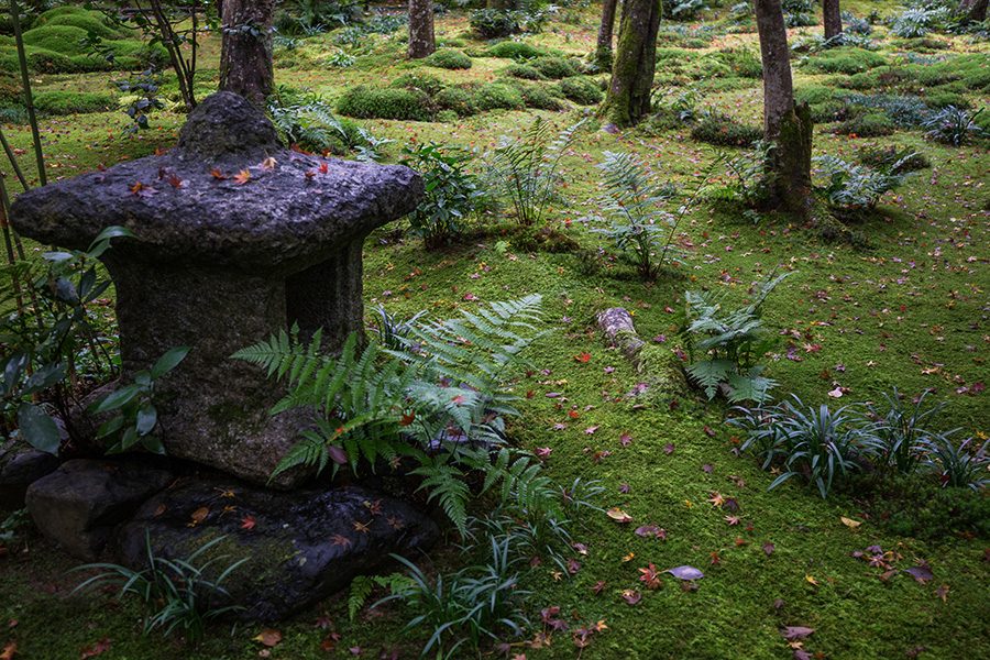 Gio-ji temple moss-covered grounds