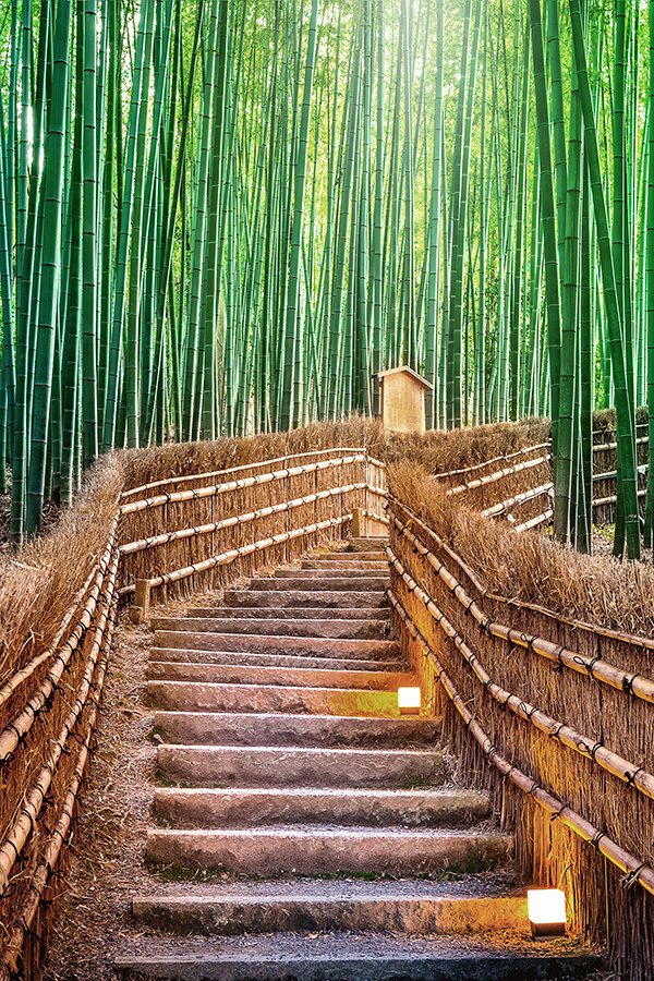 Arashiyama Kyoto bamboo grove