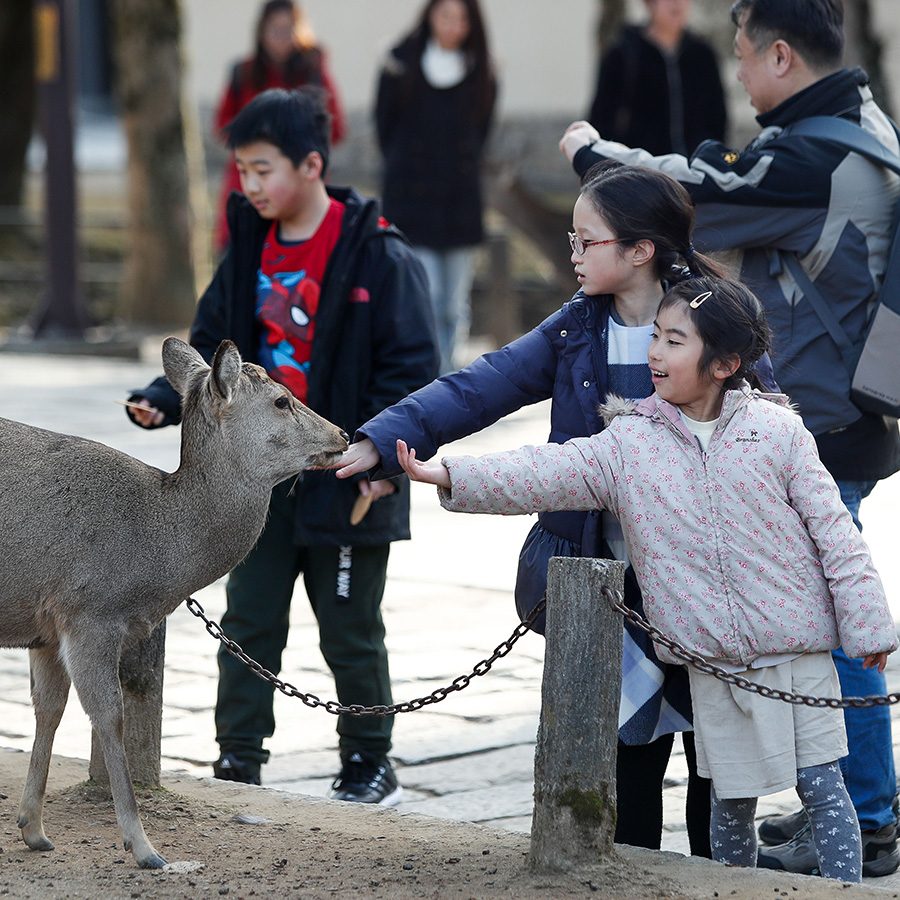 Nara Park