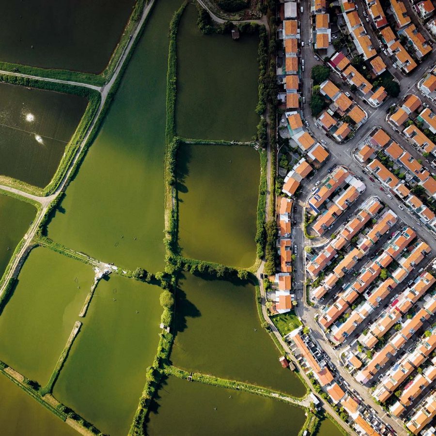 residential compound in Yuen Long. Credit: Tugo C.Y. Cheng